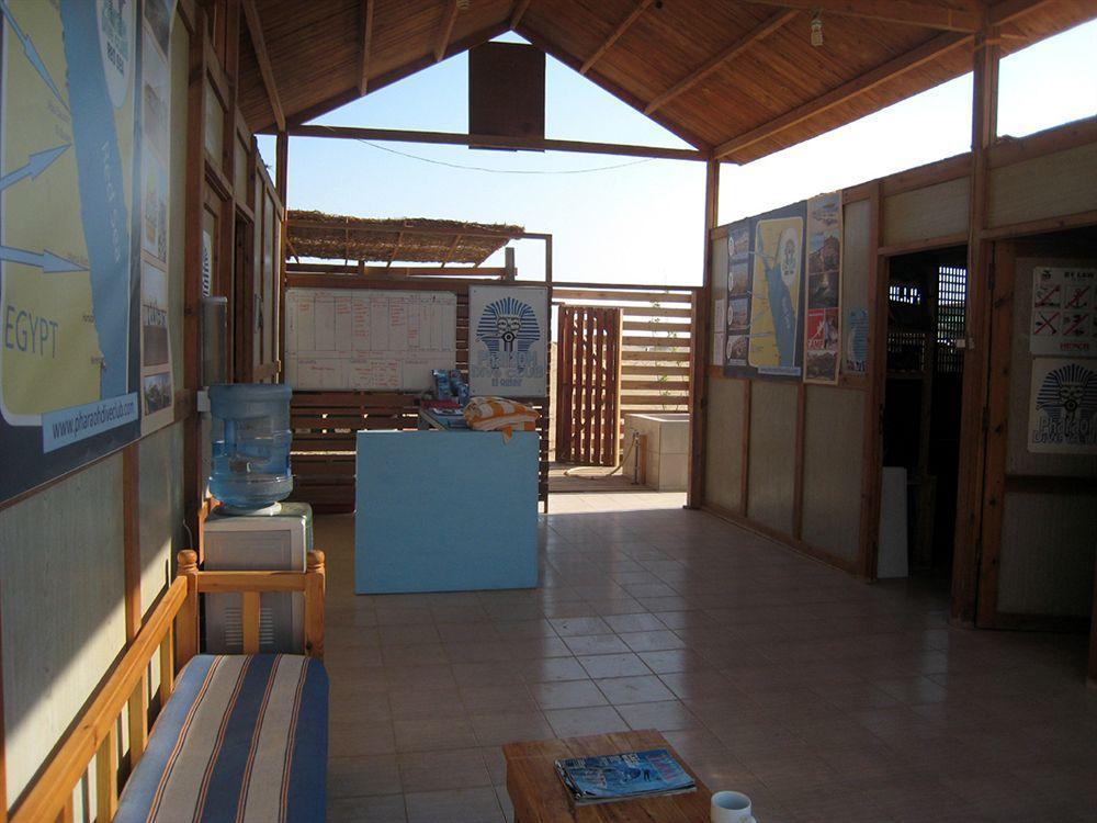 Hotel Roots Red Sea à El Qoseir Extérieur photo