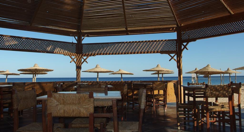 Hotel Roots Red Sea à El Qoseir Extérieur photo