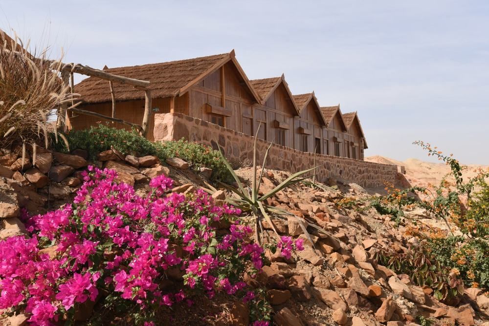 Hotel Roots Red Sea à El Qoseir Extérieur photo
